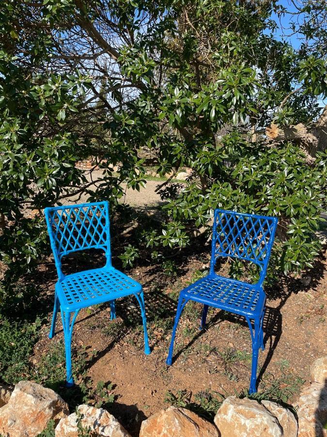 Agroturismo S Hort De Can Carrio Ag226 Ses Salines  Eksteriør billede