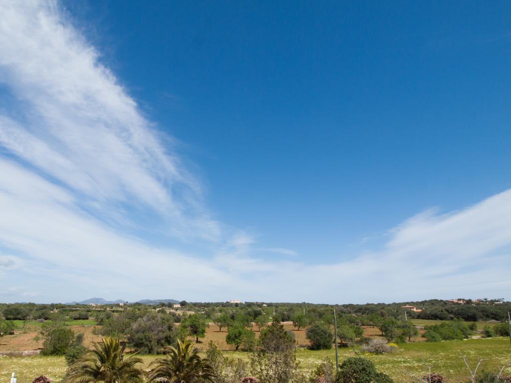 Agroturismo S Hort De Can Carrio Ag226 Ses Salines  Eksteriør billede